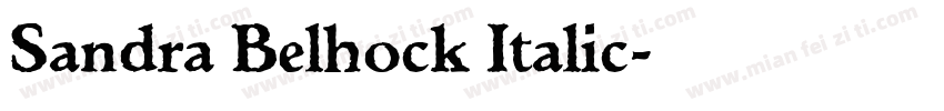 Sandra Belhock Italic字体转换